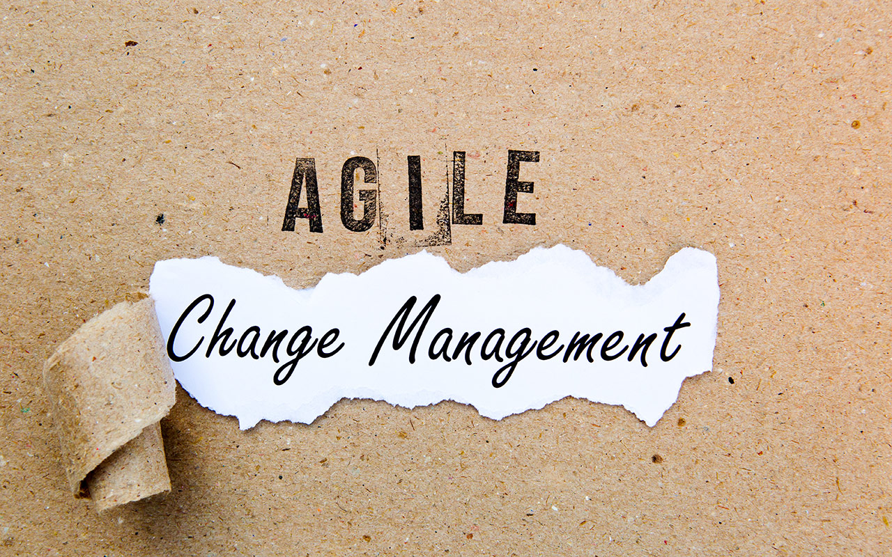 Agile Continuous Changemanagement